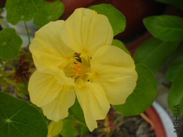 DSC03850.JPG