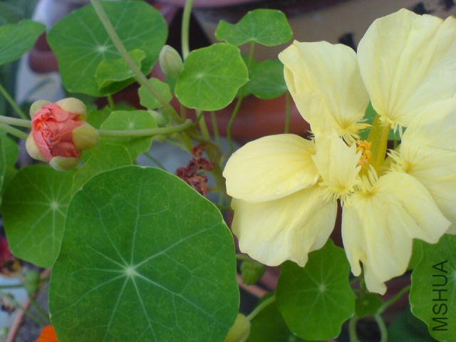 DSC03853.JPG