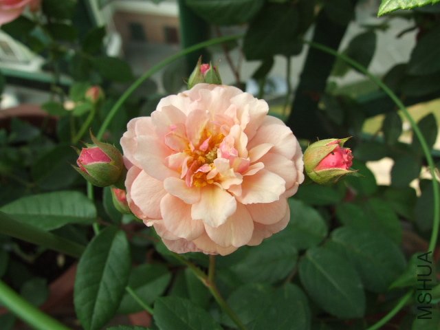 DSCF1359.JPG