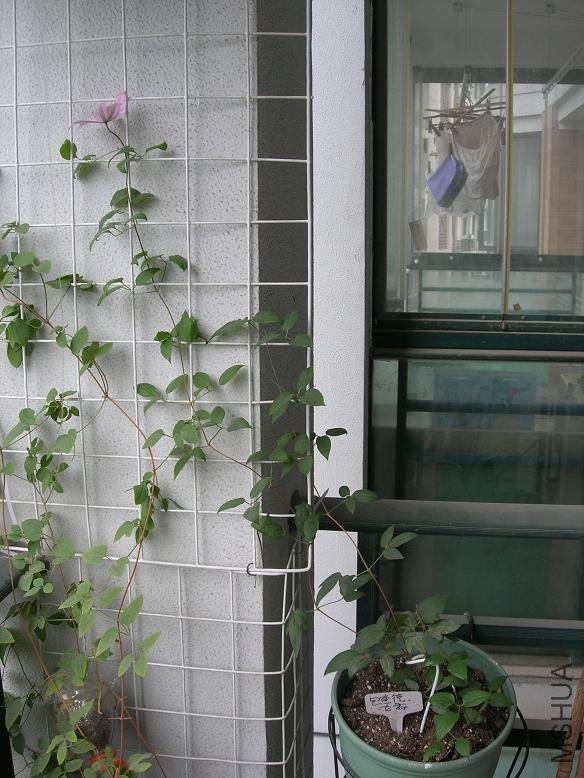 ��߲��˹���ұ߰����