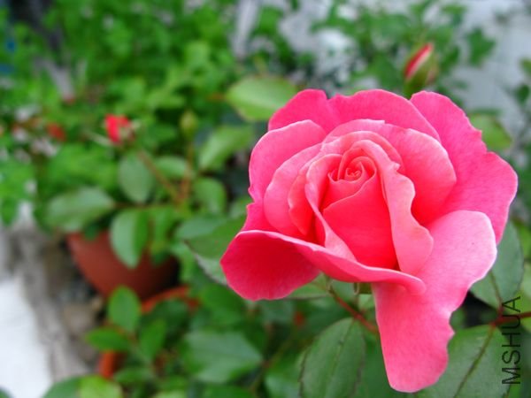 nEO_IMG_IMG_0014.jpg