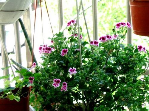 ���� 056.jpg