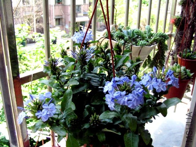 ���� 058.jpg