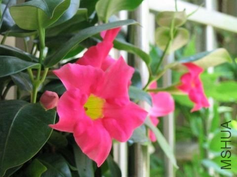 ���� 054.jpg