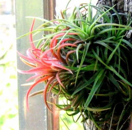 ���� 061.jpg