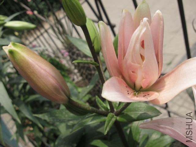 һ������ĵ�2���������صģ���һ�����ֵ�Ҳ�����ذ��