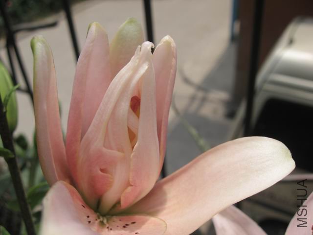 ������С 6.6 001.jpg