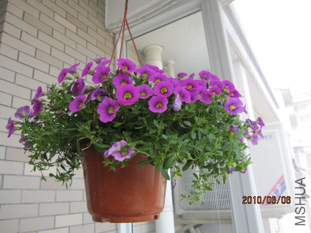 IMG_1857.JPG