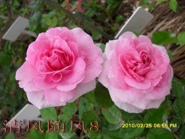 ����³�»��� (1).jpg