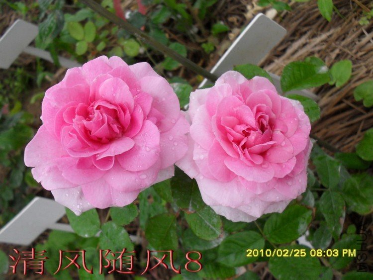 ����³�»��� (6).jpg