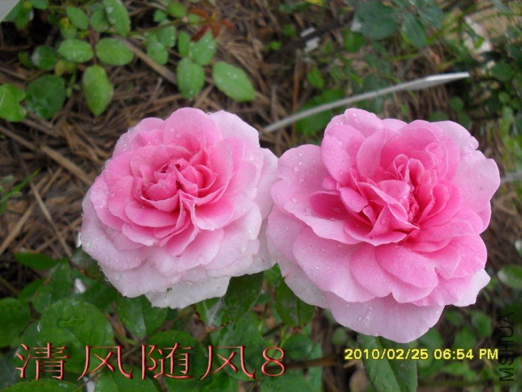 ����³�»��� (4).jpg