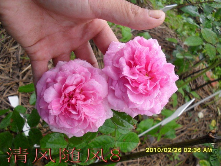 ����³�»��� (8).jpg