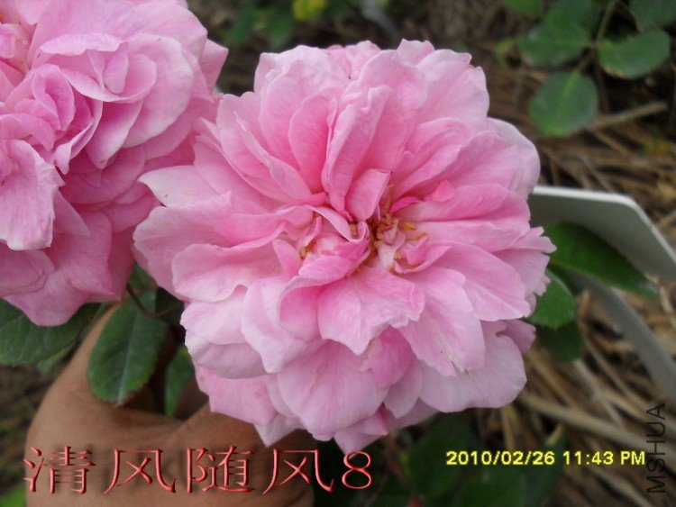 ����³�»��� (15).jpg