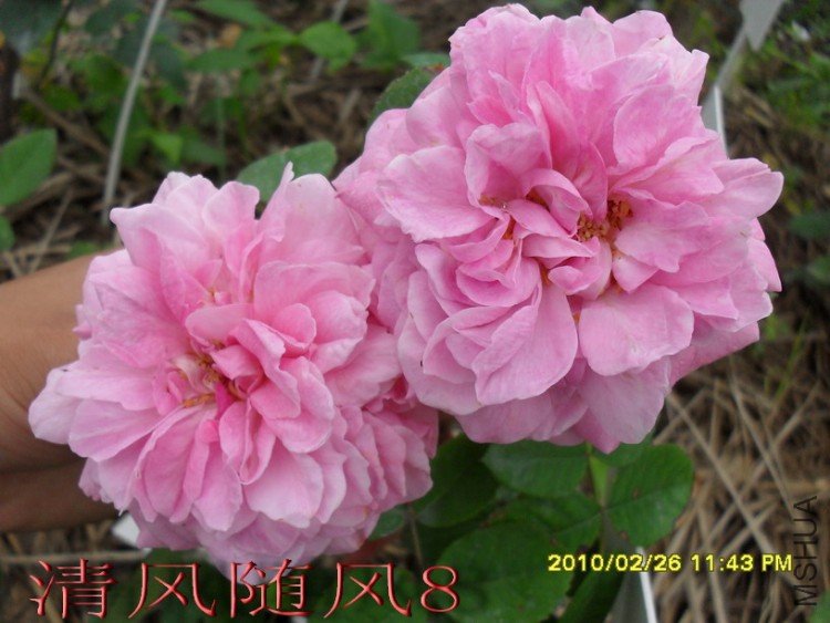 ����³�»��� (16).jpg