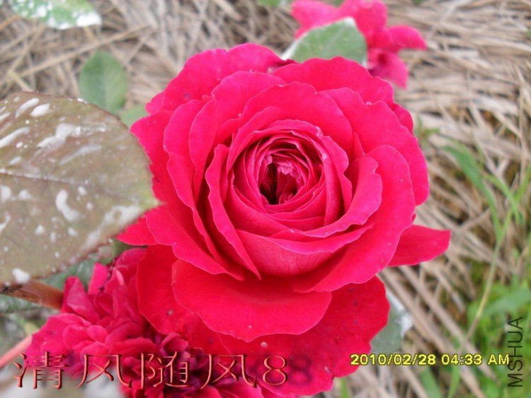 �ʼ���֬ (3).jpg