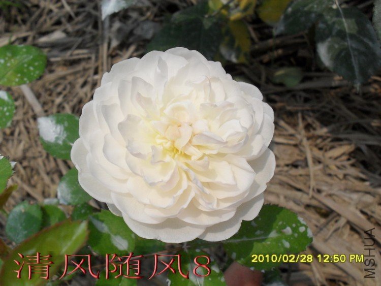 �����׳Ǳ�1 (14).jpg