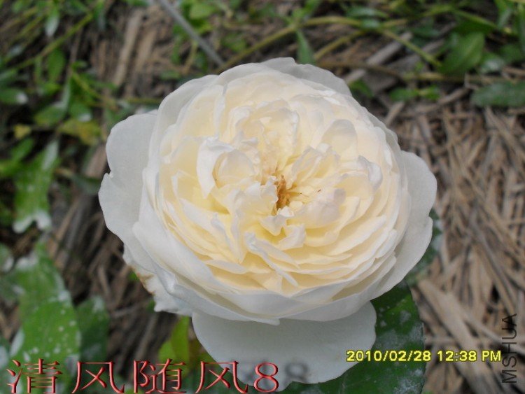 �����׳Ǳ�1 (291).jpg