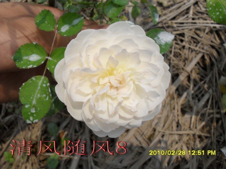 �����׳Ǳ�1 (292).jpg