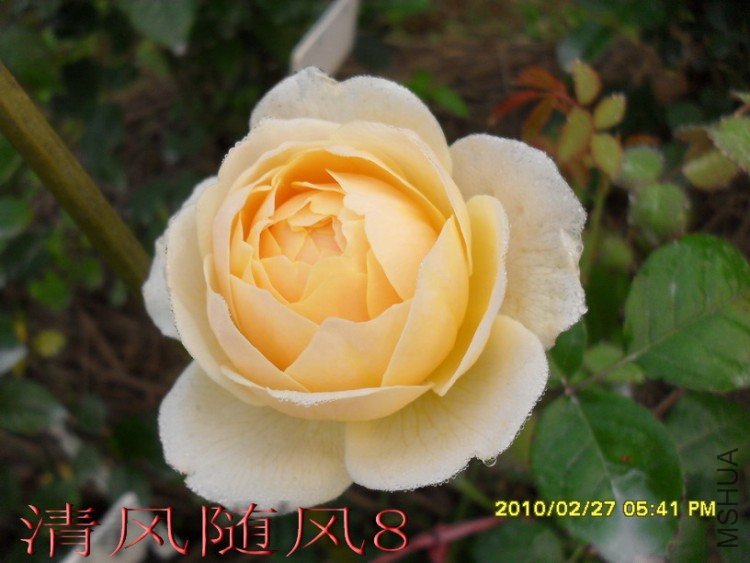 ������3 (1).jpg