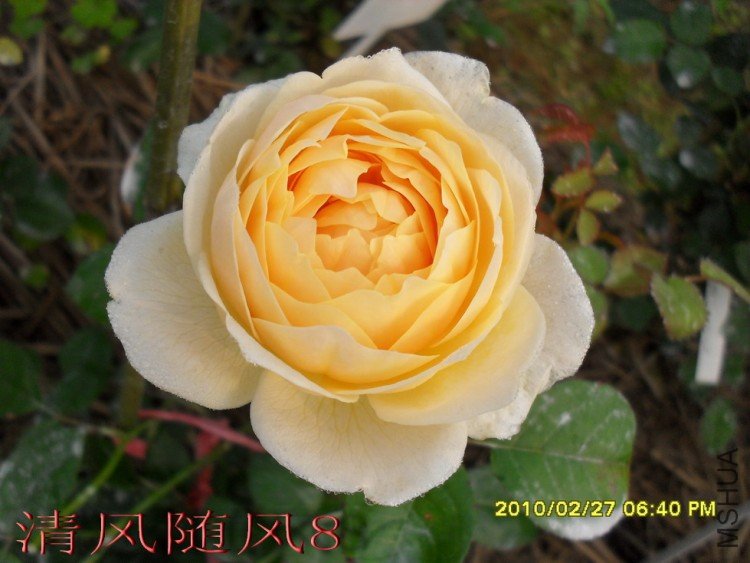 ������3 (4).jpg