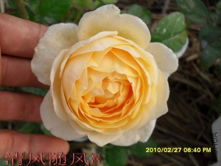 ������3 (3).jpg