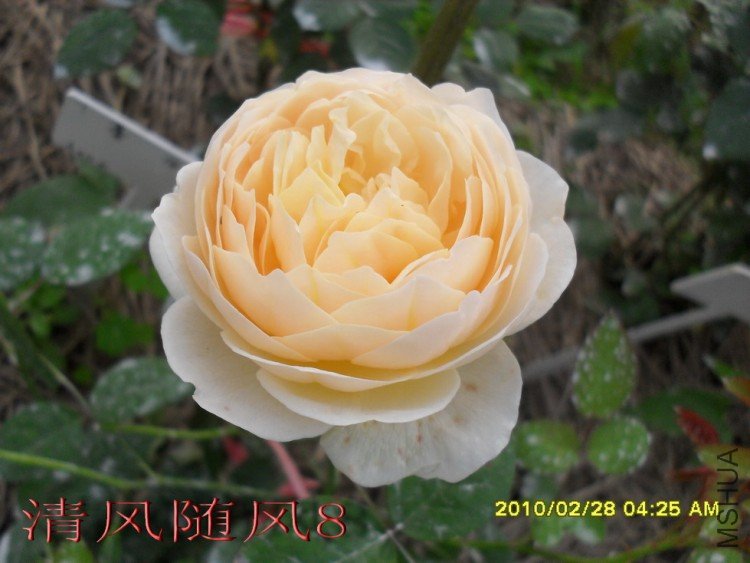 ������3 (6).jpg