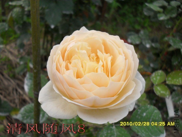 ������3 (5).jpg