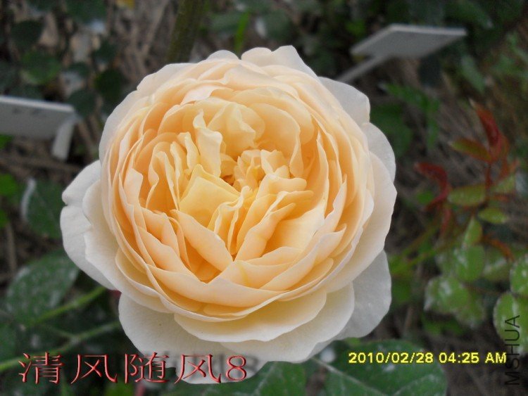 ������3 (7).jpg