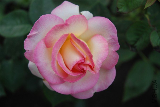 http_imgloadCA585A3D.jpg