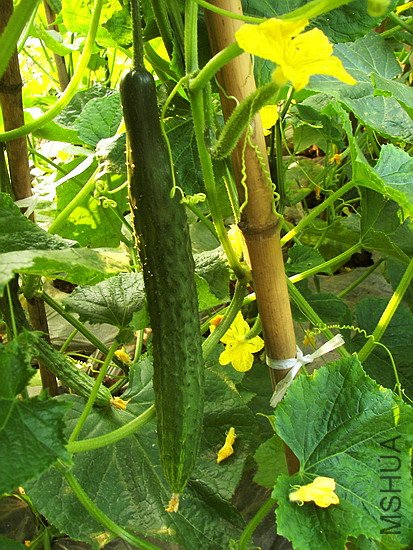 101_7320.jpg