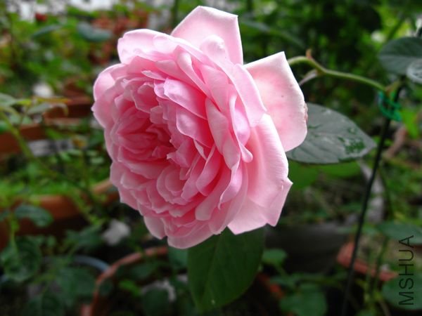 nEO_IMG_IMG_0003.jpg