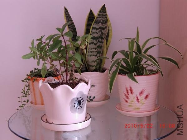 Ŀǰ��������С���ĺ�Ӱ���ܿ�ͻ�����Ʒ����ס����������̨�Ѿ�û�Ϲ��ĵط�����(��o��)Ŷ