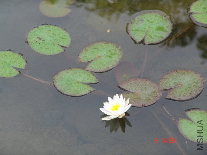 DSC02497_2.JPG