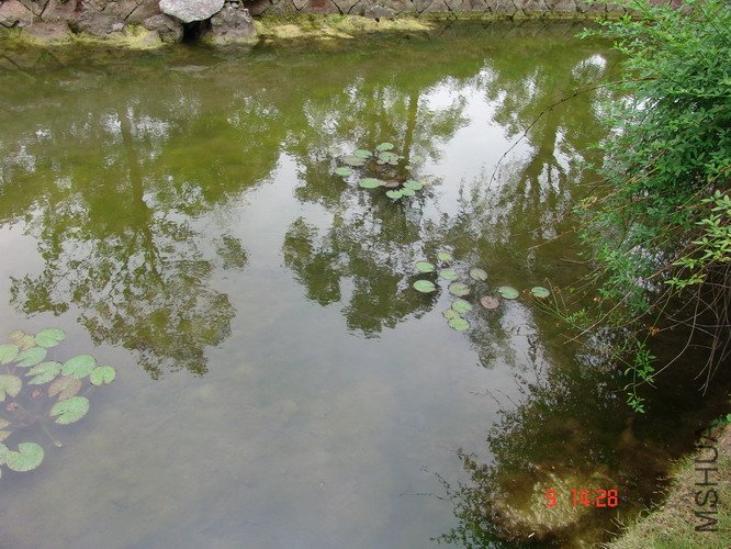 DSC02499_2.JPG