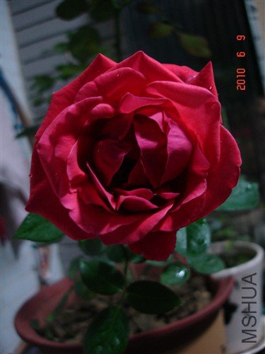 �뿪��һ��