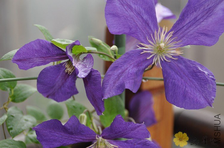 nEO_IMG_��Ƭ 023.jpg