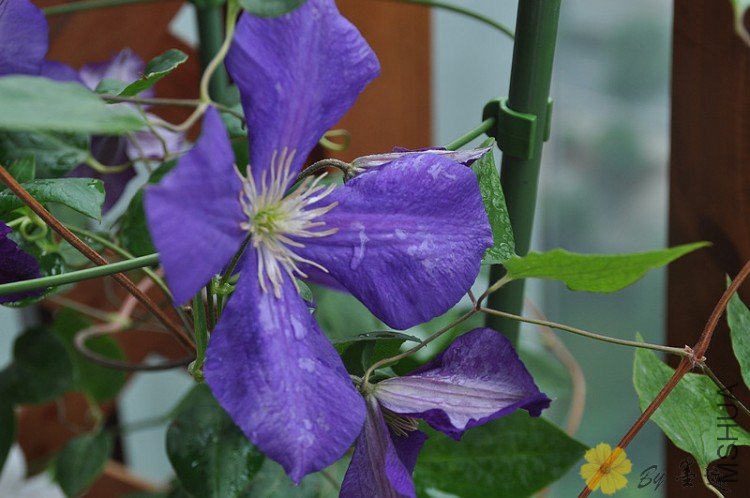 nEO_IMG_��Ƭ 022.jpg