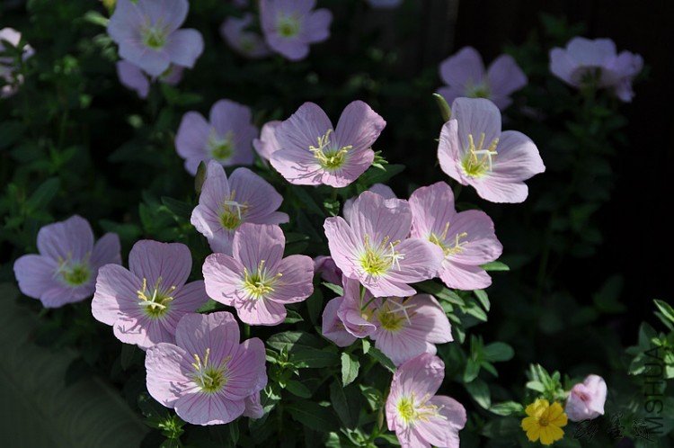 nEO_IMG_��Ƭ 238.jpg