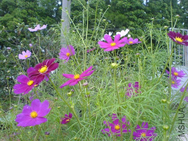 DSC04064.JPG