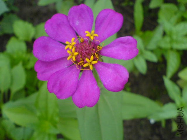 DSC04074.JPG