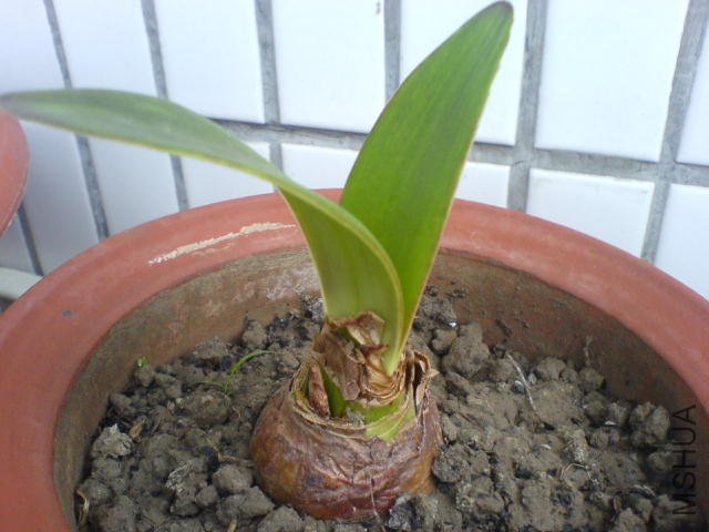 DSC04058.JPG