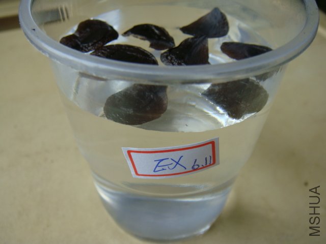 DSC00247.JPG