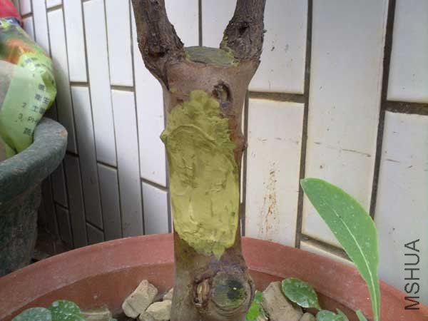 �����Ҵ�����