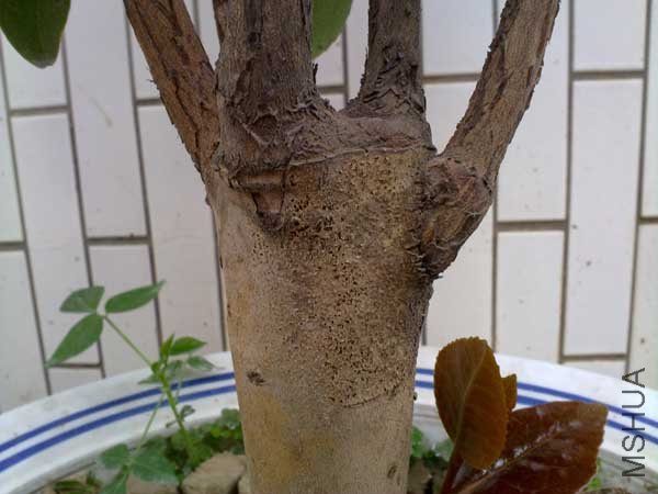 �޽���Χ����ʼ����