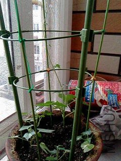 IMG00280.jpg
