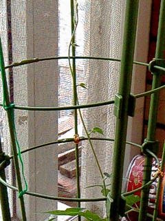 IMG00282.jpg