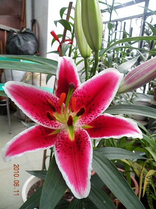 DSCN3010.jpg
