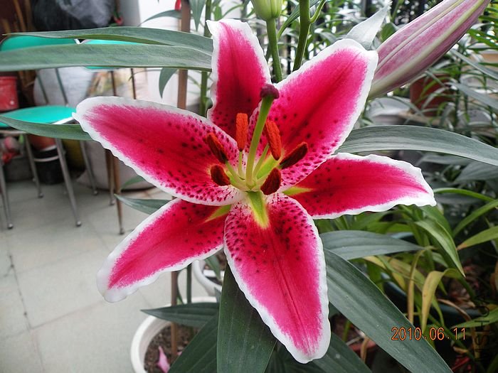 DSCN3006.jpg