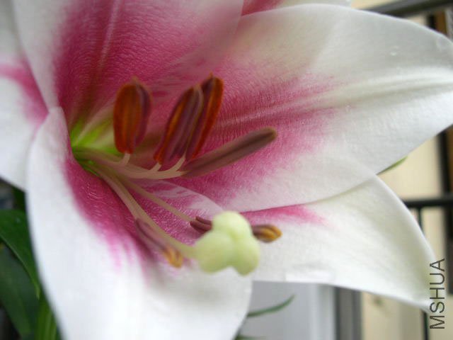 DSCN2113.JPG