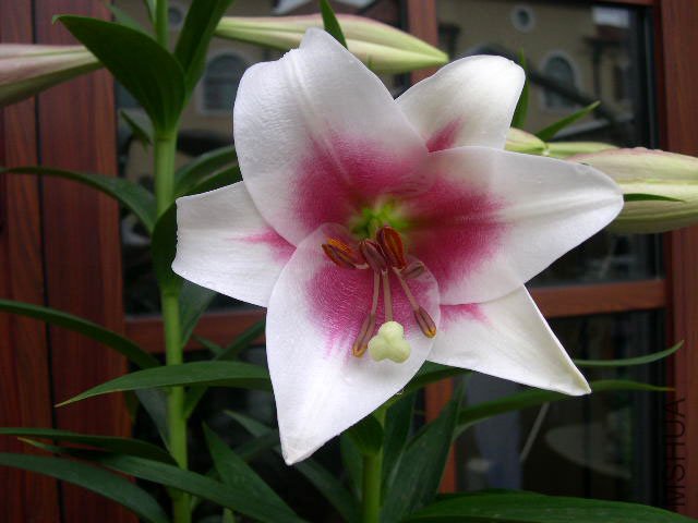 DSCN2112.JPG